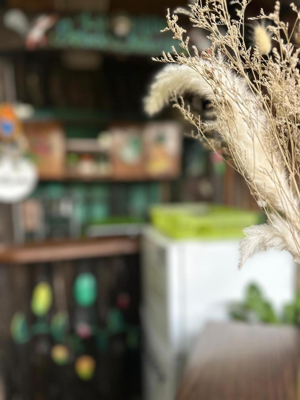 Hostel Rustico Marabi Tárcoles Εξωτερικό φωτογραφία